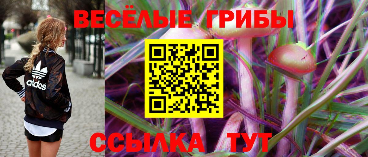 Галлюциногенные грибы Cubensis Чусовой